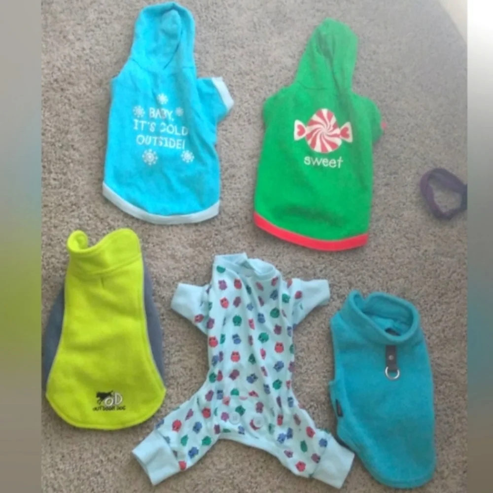 8 Piece Bundle 🐶 Puppy • Small Dog / Cat Fits + Leash & Collar 😺